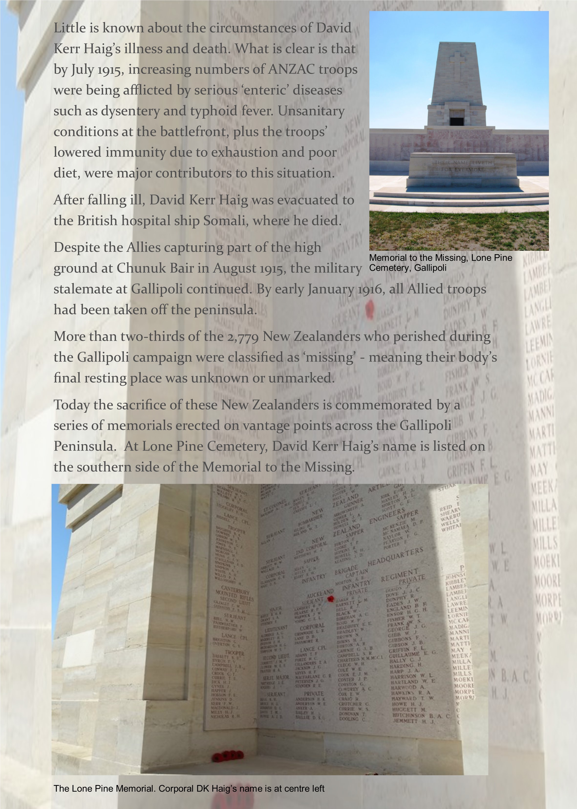 DKHaig Diary Page 20