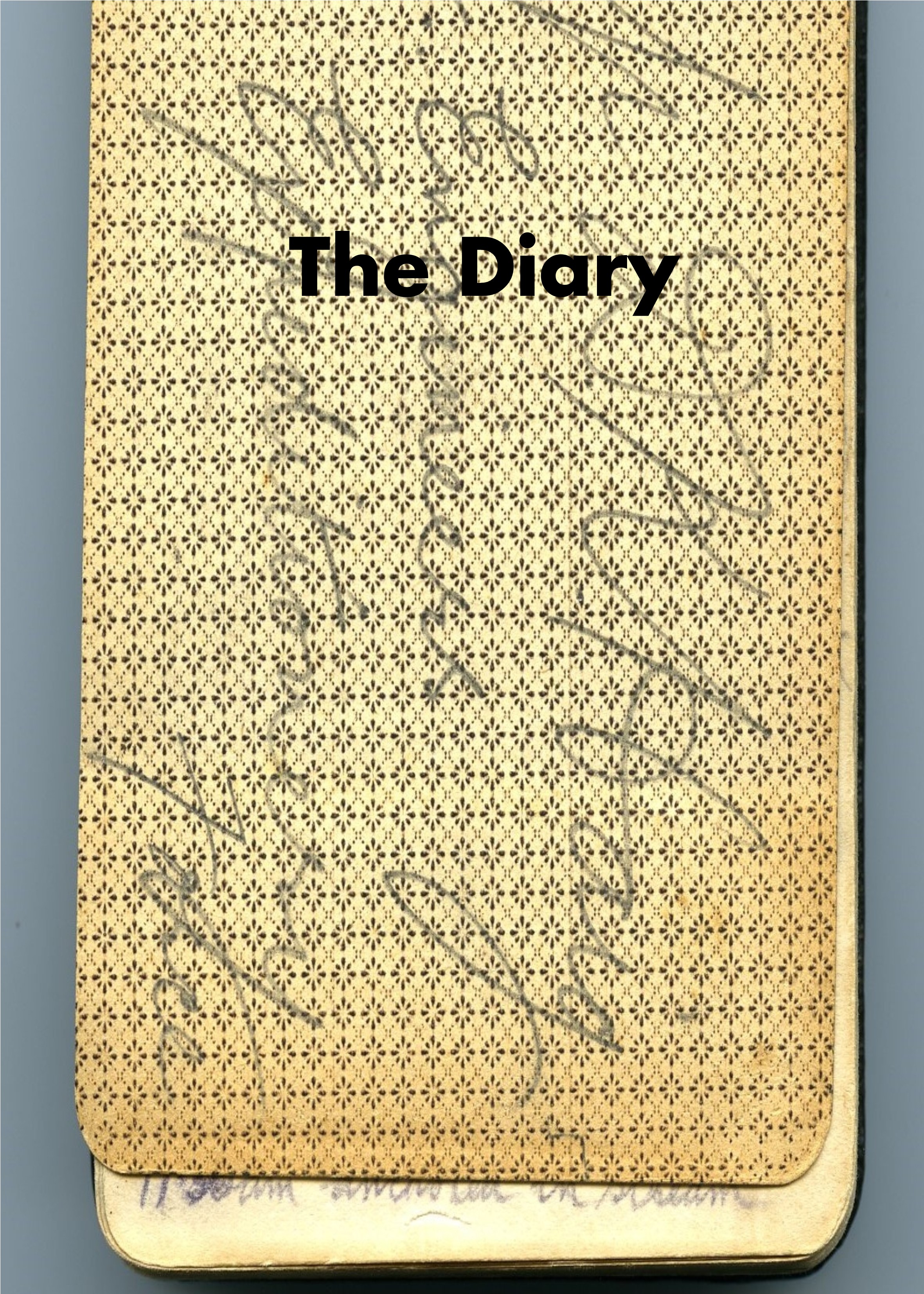 DKHaig Diary Page Intro 5