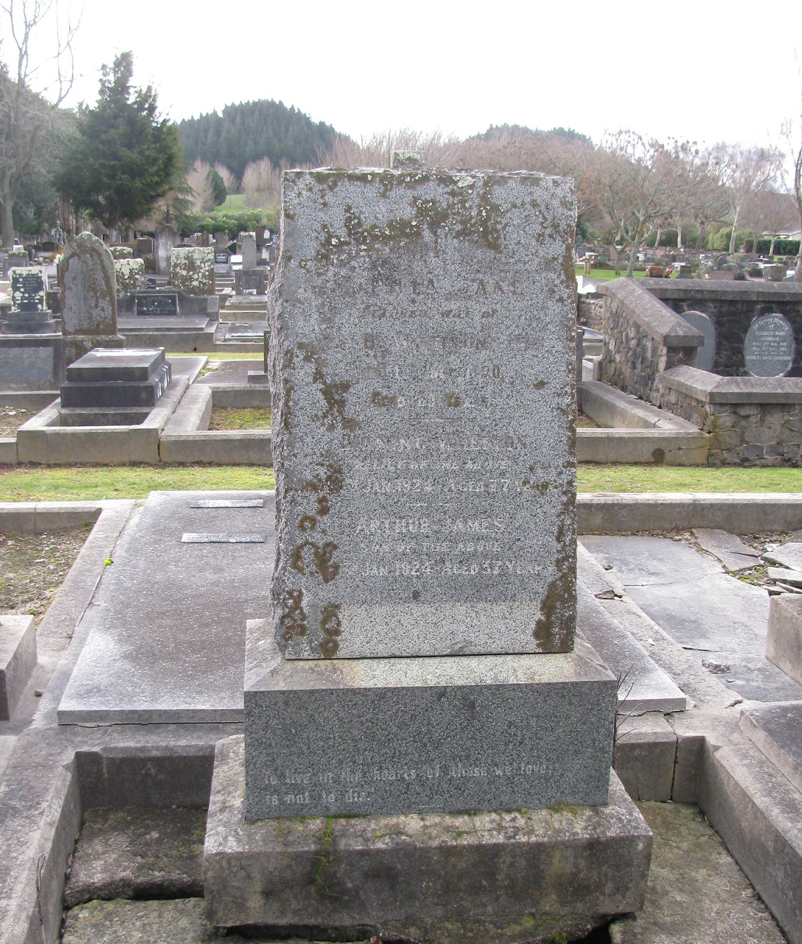 Binning Sophia Whetton grave Aramaho edited