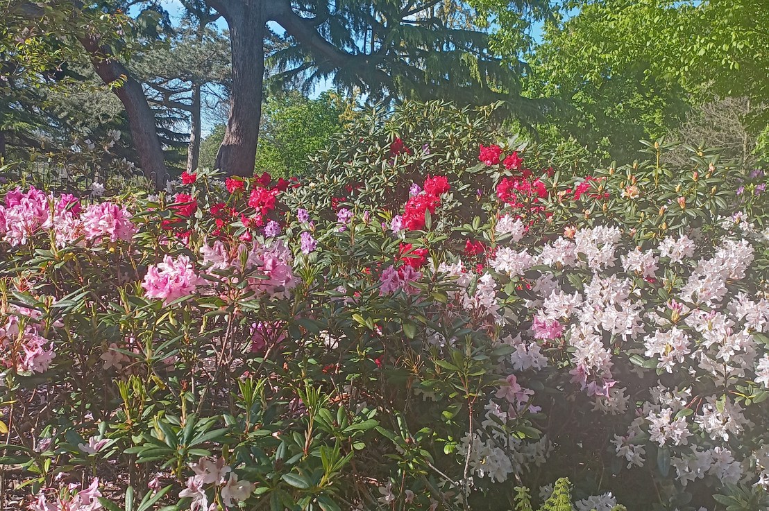 London Days 1 to&nbsp;3